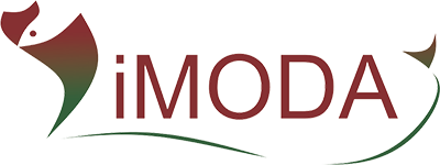 iMODA: Red Iberoamericana de Investigación en Modelos de Optimización y Decisión y sus Aplicaciones